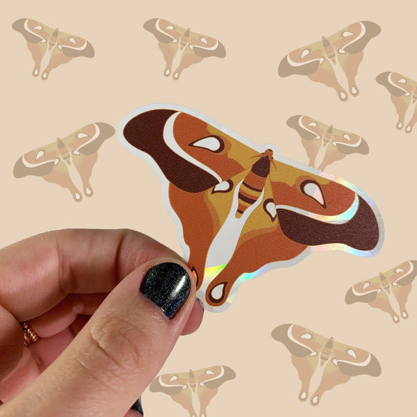 Daydreamer Suncatcher Set | Rainbow Decals