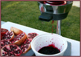 pomegranate juicer details